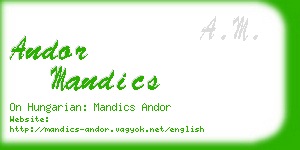 andor mandics business card